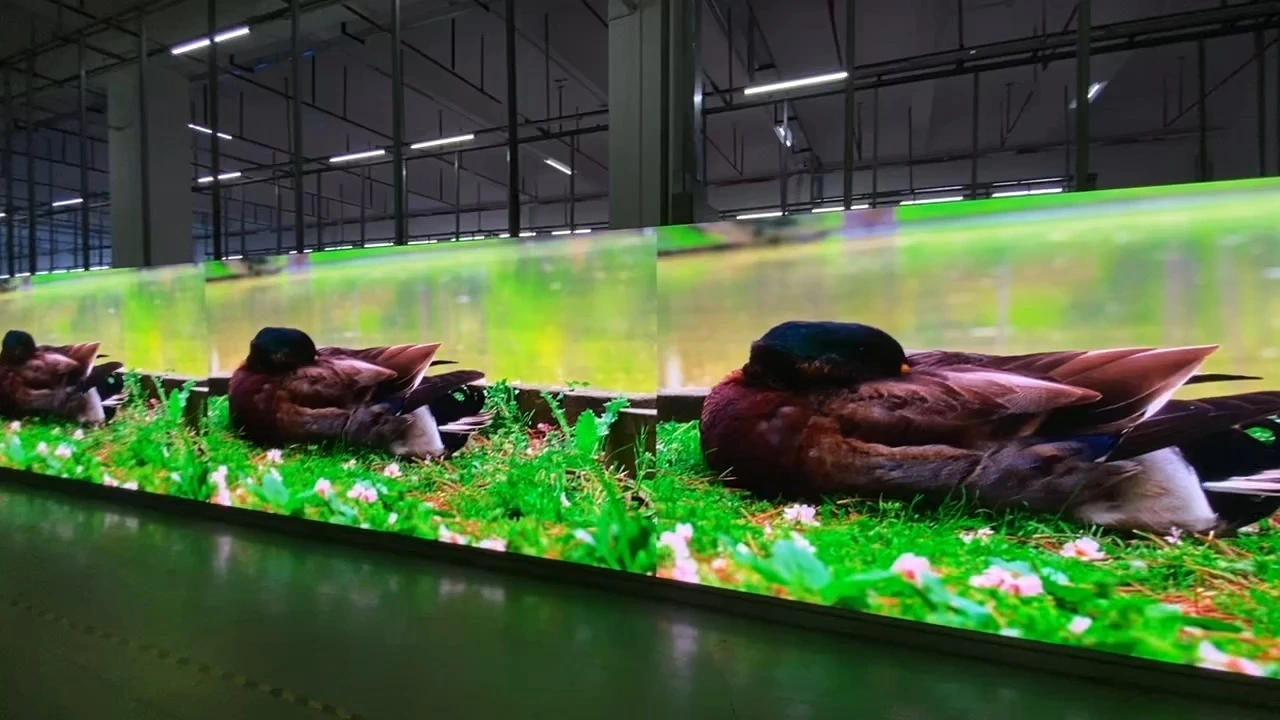 Indoor-Wand-montierte LED-Display HD-Videowand für Ausstellungsausstellungsraum 1