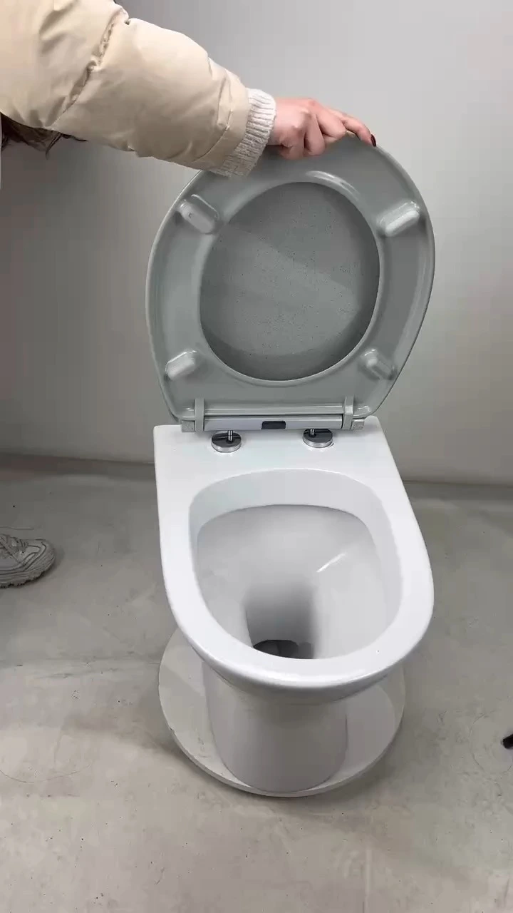 Fanmitrk Duroplast Toilet Seat 0110 Soft Close Quick Release Grey 1
