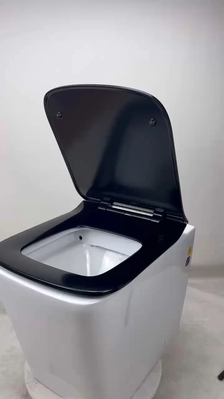 Fanmitrk Duroplast Toilet Seat Square-shaped Black Warped Edges 1