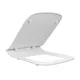 Square Edge Toilet Seat by Fanmitrk 5