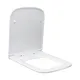 Quick Release Toilet Seat Square - - Fanmitrk 5
