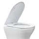 U Shaped Toilet Seat with Lid by Fanmitrk 5