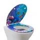 Duroplast Soft Close Toilet Seat by Fanmitrk-1 5