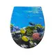 Shell Pattern Toilet Seat by Fanmitrk-3 3