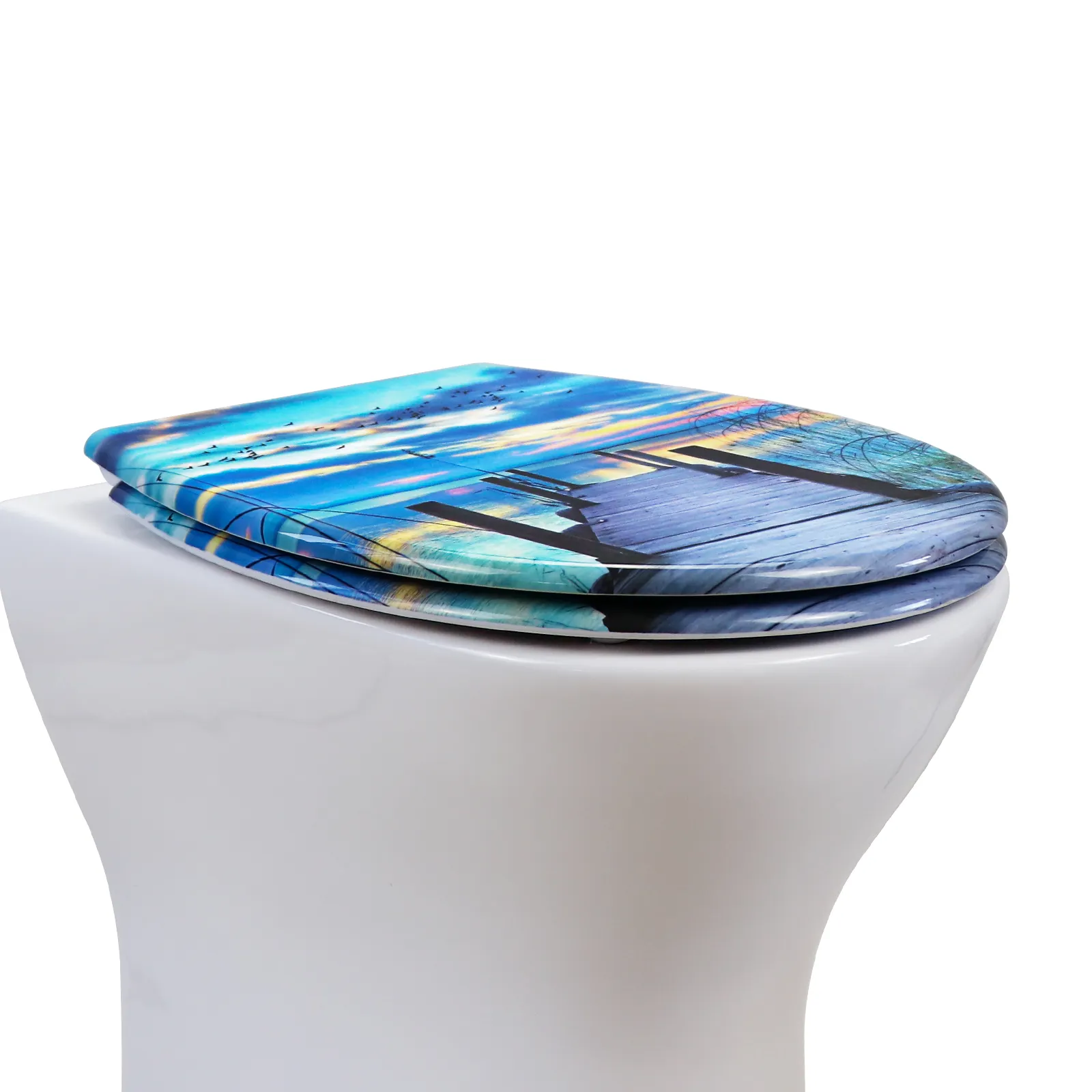 Toilet Seats Manufacturer by Fanmitrk-1 7