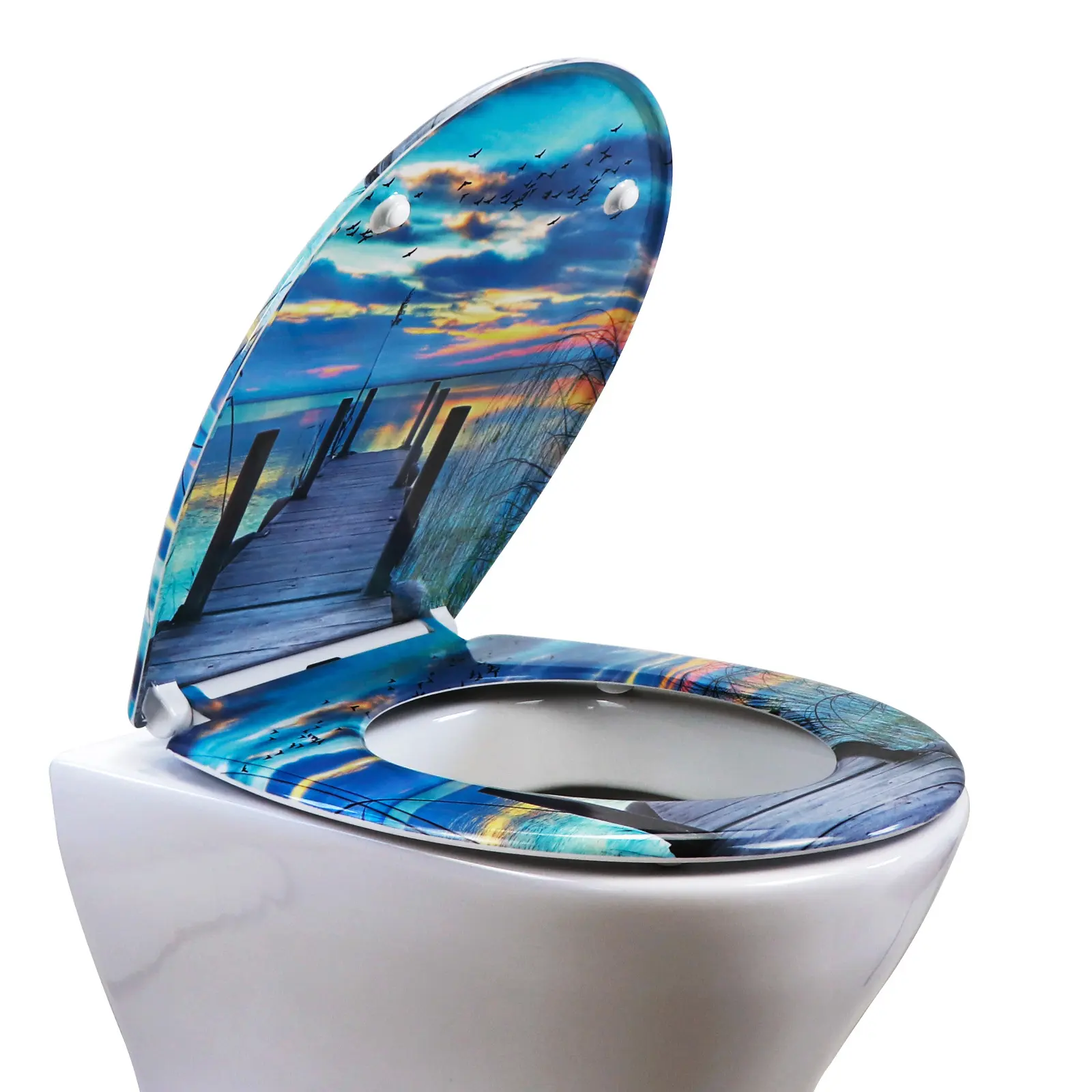 Toilet Seats Manufacturer by Fanmitrk-1 4