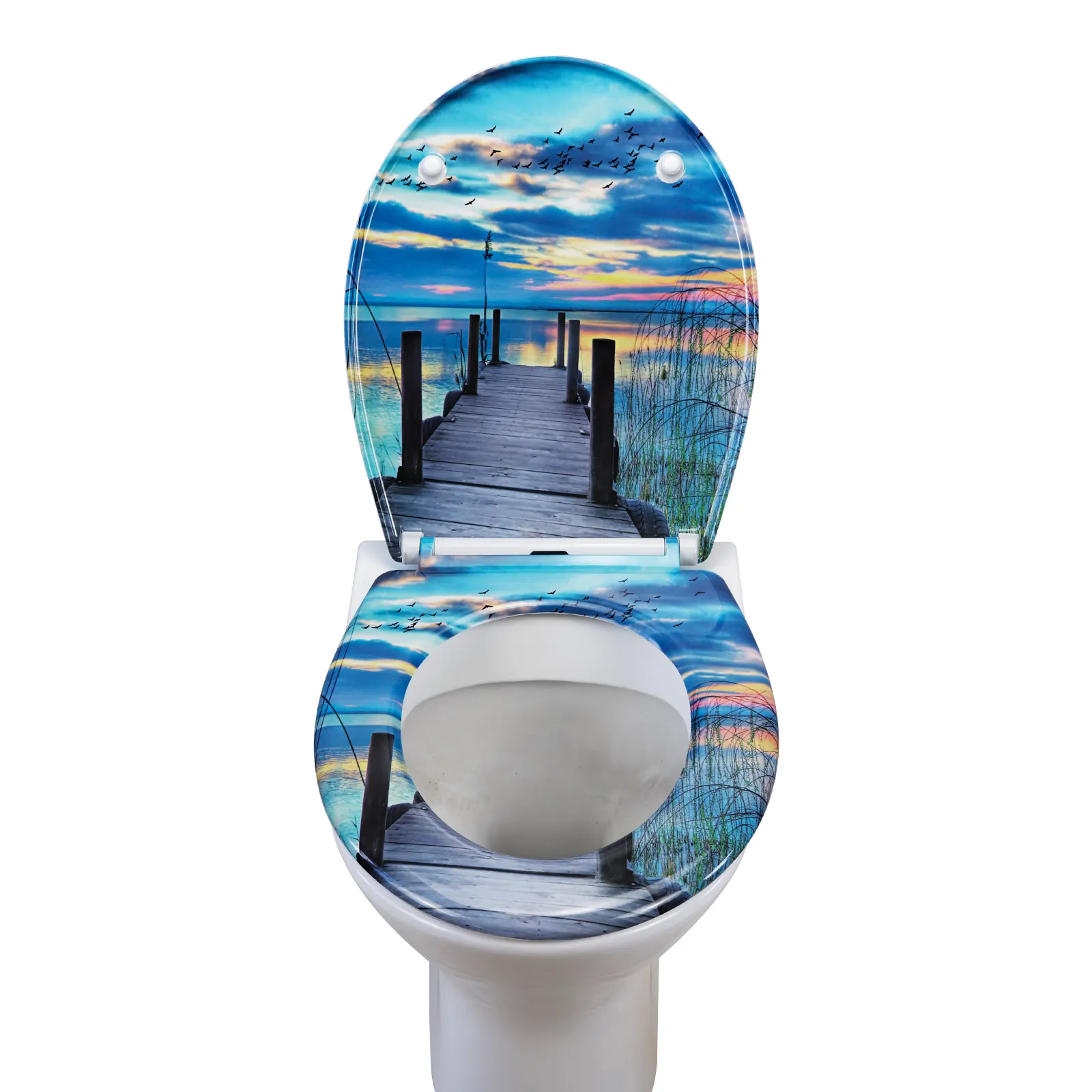 Toilet Seats Manufacturer by Fanmitrk-1 5