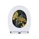 Toilet Seats Supplier - - Fanmitrk-4 7