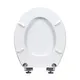 White Mdf Toilet Seat - - Fanmitrk-2 4