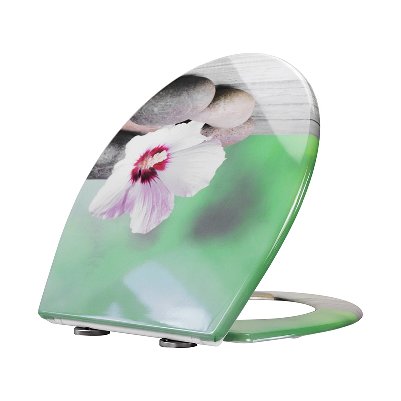 Fanmitrk Duroplast Toilettensitz 819-45 Soft Close grün 1