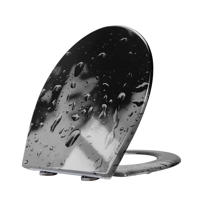 Fanmitrk Duroplast Toilet Seat 819-21 Soft Close Quick Release black 1