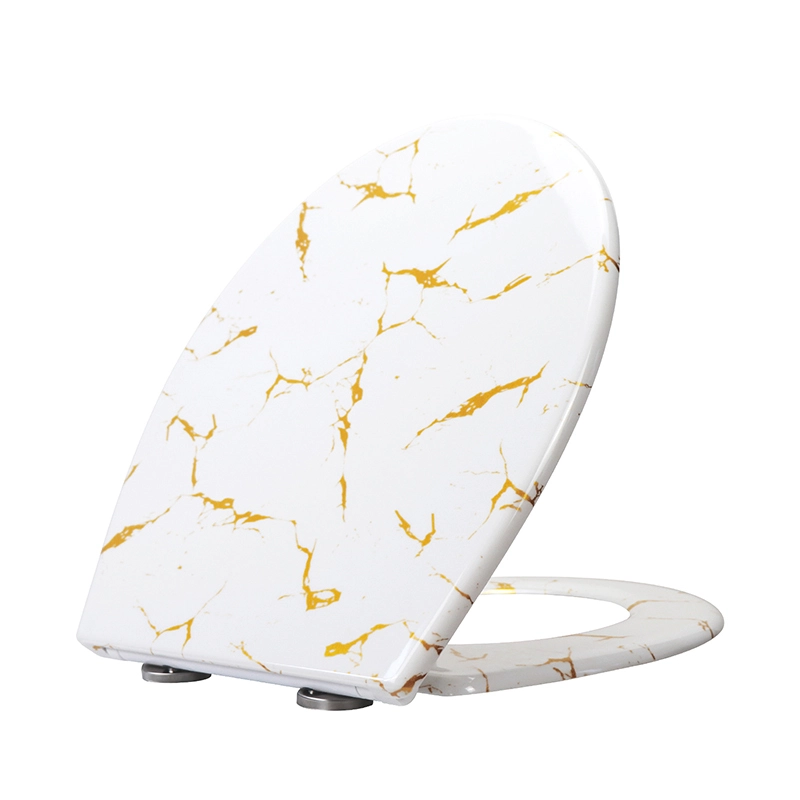 Fanmitrk Duroplast Toilet Seat 819-18 Soft Close -Quick Release 1