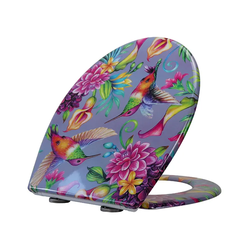Bathroom Toilet Seats Wholesale - Fanmitrk-1 2