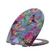 Bathroom Toilet Seats Wholesale - Fanmitrk-1 2