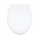U Shaped Toilet Seat by Fanmitrk 2