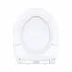 Public Toilet Seat U Shaped - - Fanmitrk 5
