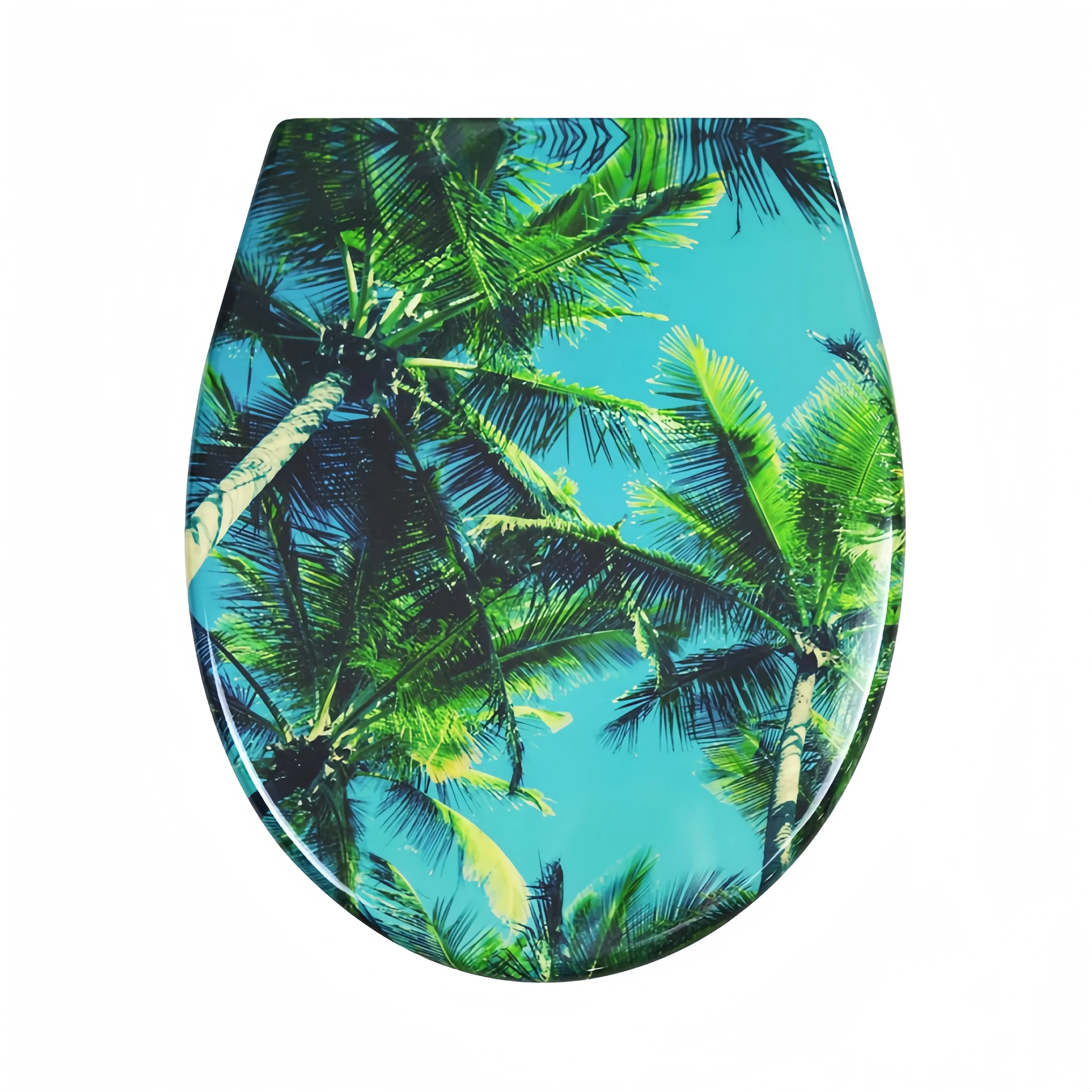 Duroplast Slow Close Toilet Seat - - Fanmitrk-1 1