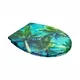 Duroplast Slow Close Toilet Seat - - Fanmitrk-1 4