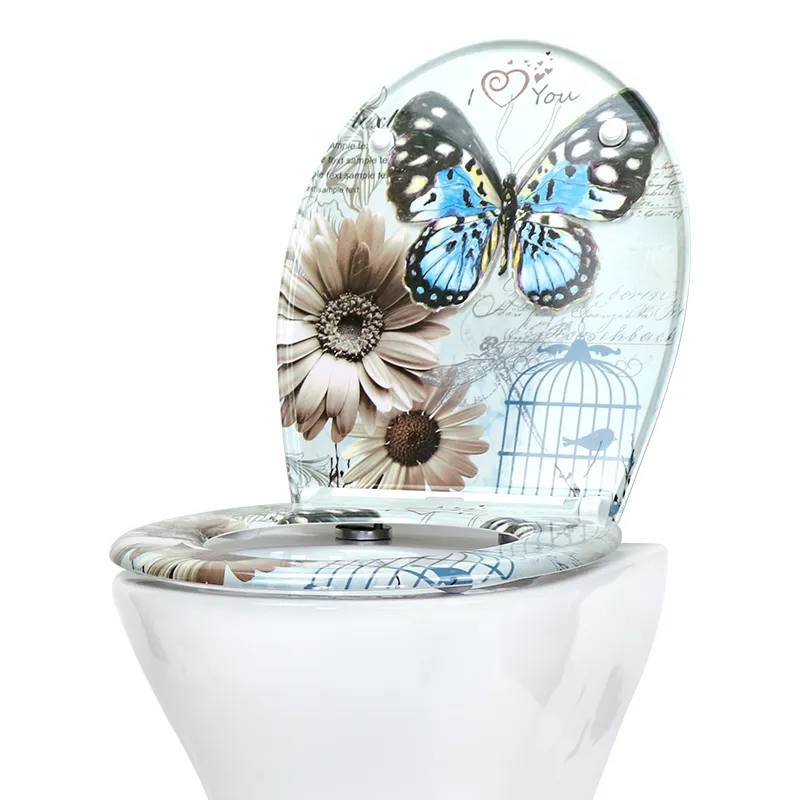 D Shaped Patterned Toilet Seat - - Fanmitrk 5