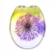 Sedile WC Duroplast Family - - Fanmitrk 2