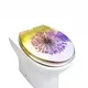 Sedile WC Duroplast Family - - Fanmitrk 3