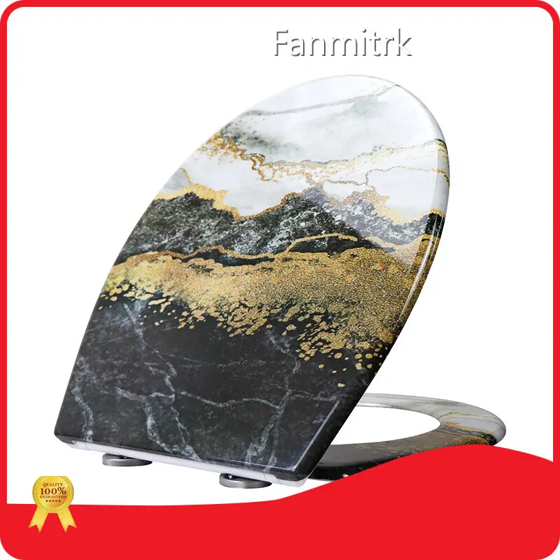 Patterned Soft Close Toilet Seat by Fanmitrk 1