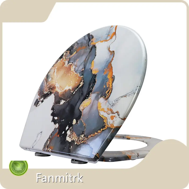 Duroplast Soft Close Toilet Seat by Fanmitrk 1