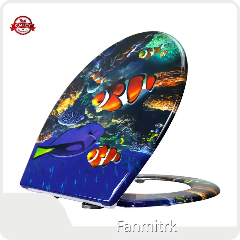 Duroplast Soft Close Toilet Seat by Fanmitrk-2 1