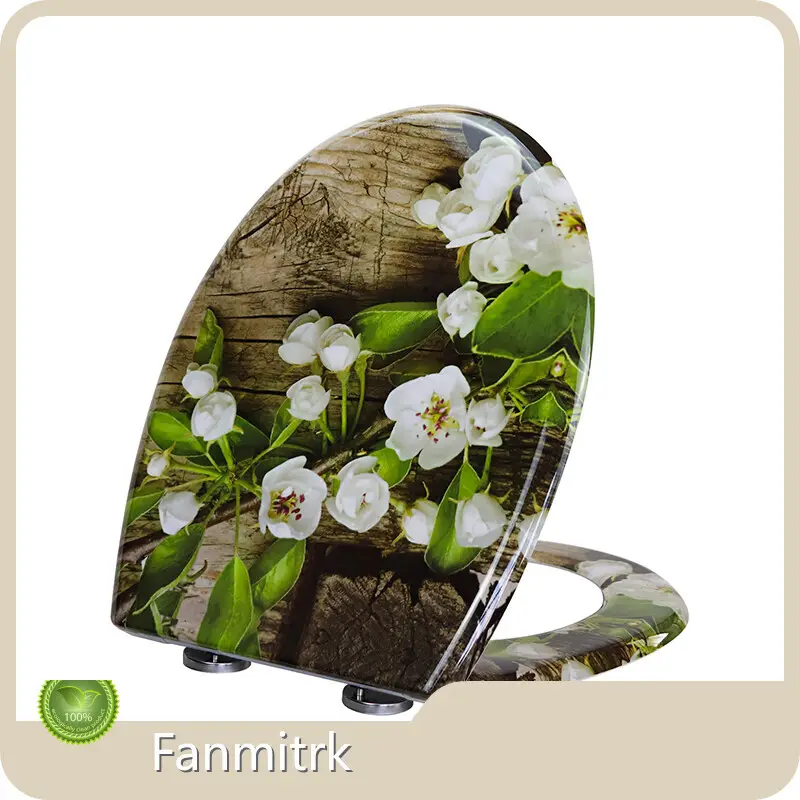 Pattern Toilet Seat by Fanmitrk 1