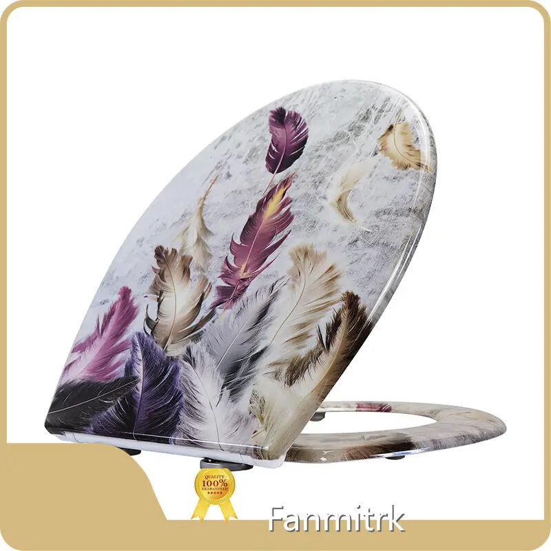 Duroplast Family Toilet Seat by Fanmitrk 1