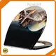 Toilet Seats Wholesale by Fanmitrk-2 1