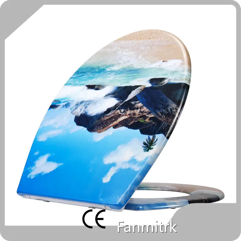 Toilet Seat Duroplast by Fanmitrk 1