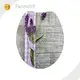 Toilet Seats Manufacturer - - Fanmitrk-3 1