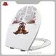 Patterned Toilet Seat - - Fanmitrk-3 1