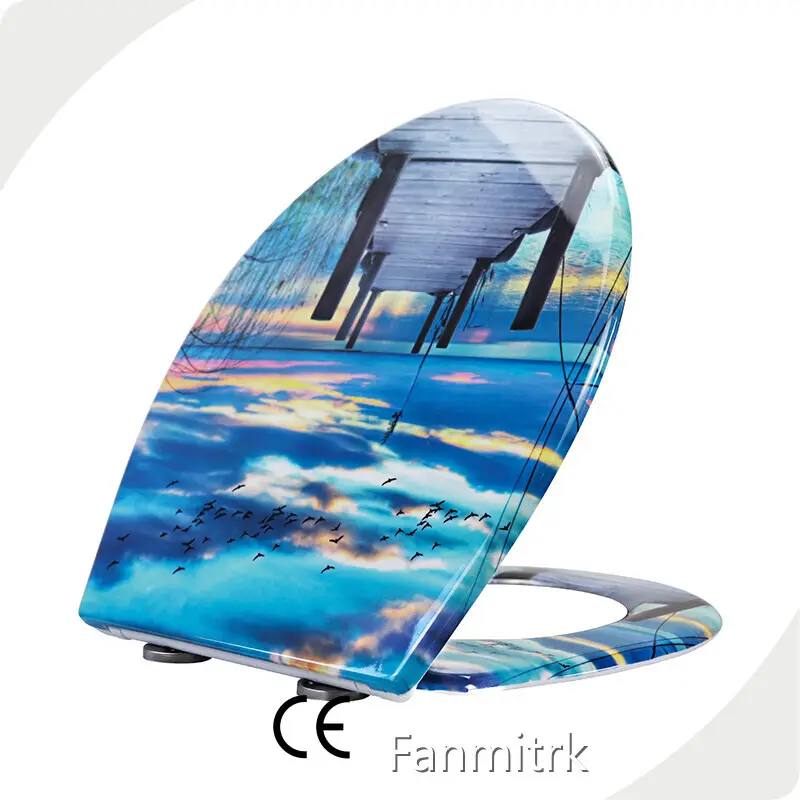 Bathroom Toilet Seats by Fanmitrk-1 1