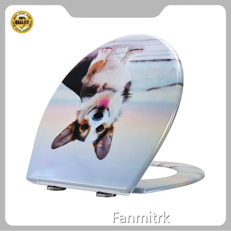 Siège de toilette à fermeture lente Duroplast par Fanmitrk-1 1