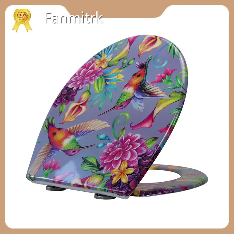 Bathroom Toilet Seats Wholesale - Fanmitrk-1 1
