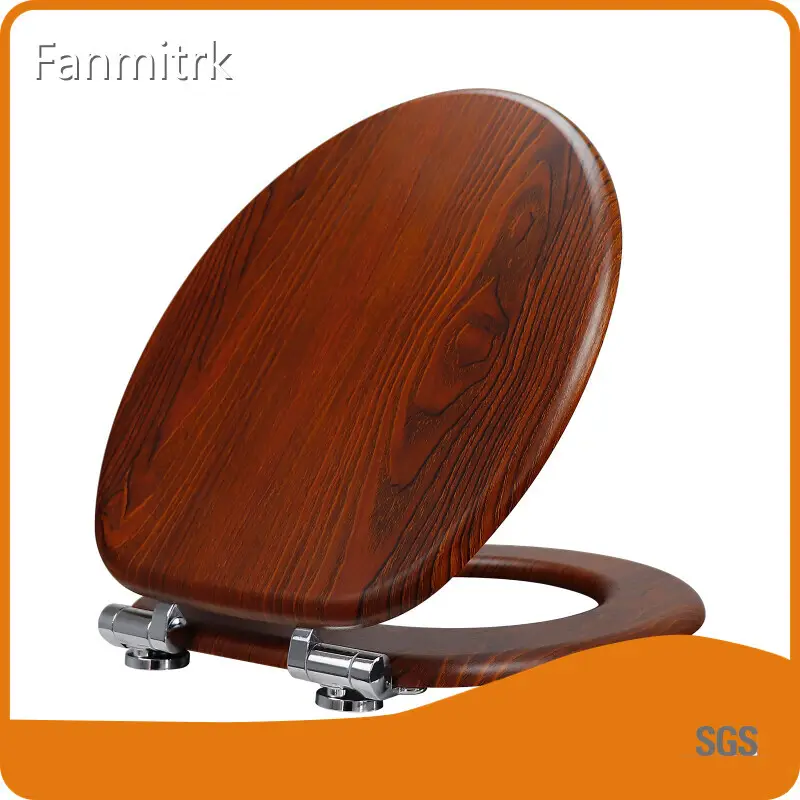 Cabeças de chuveiro de banheiro por fanmitrk-9 1
