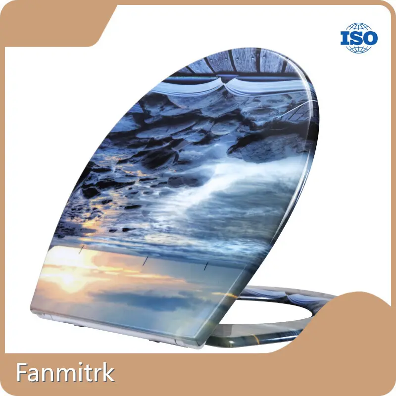 D Shaped Patterned Toilet Seat Wholesale - Fanmitrk 1