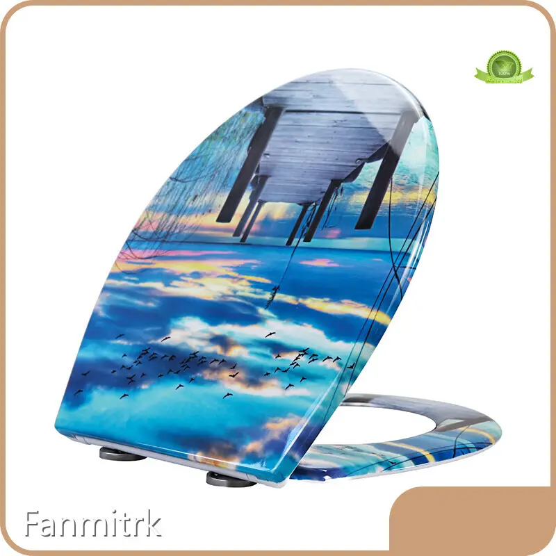 Patterned Toilet Seats Uk Wholesale - Fanmitrk 1