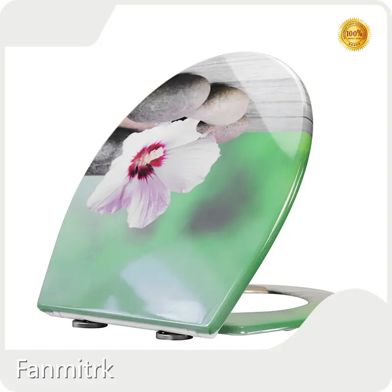 Custom Toilet Seats by Fanmitrk-12 1