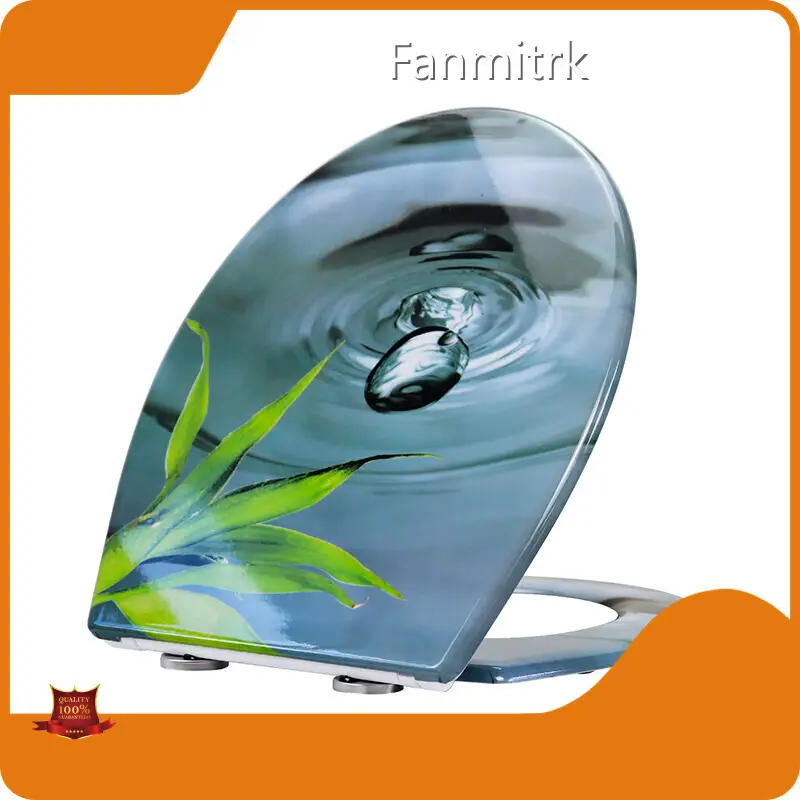 Toilet Seat Duroplast by Fanmitrk-1 1