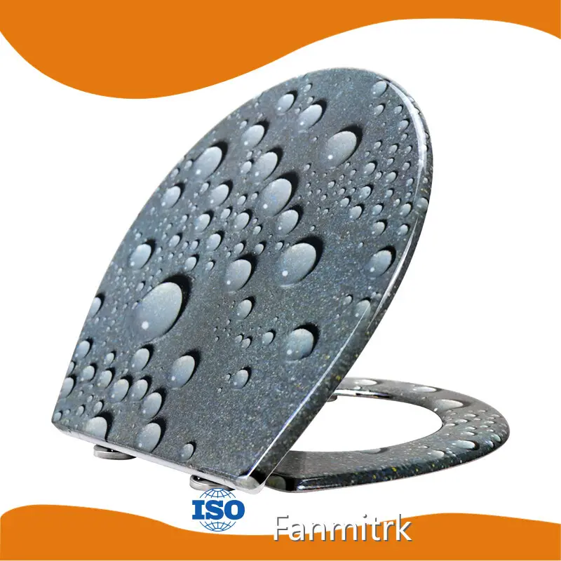 Toilet Seats Manufacturer - - Fanmitrk-6 1