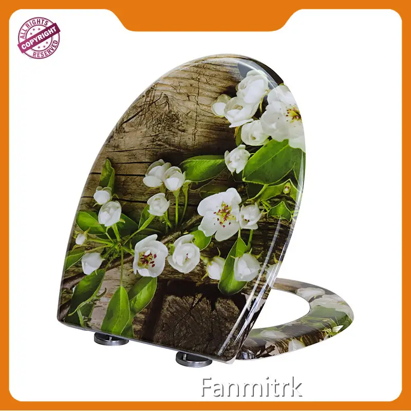 Toilet Seats Wholesale - - Fanmitrk-4 1