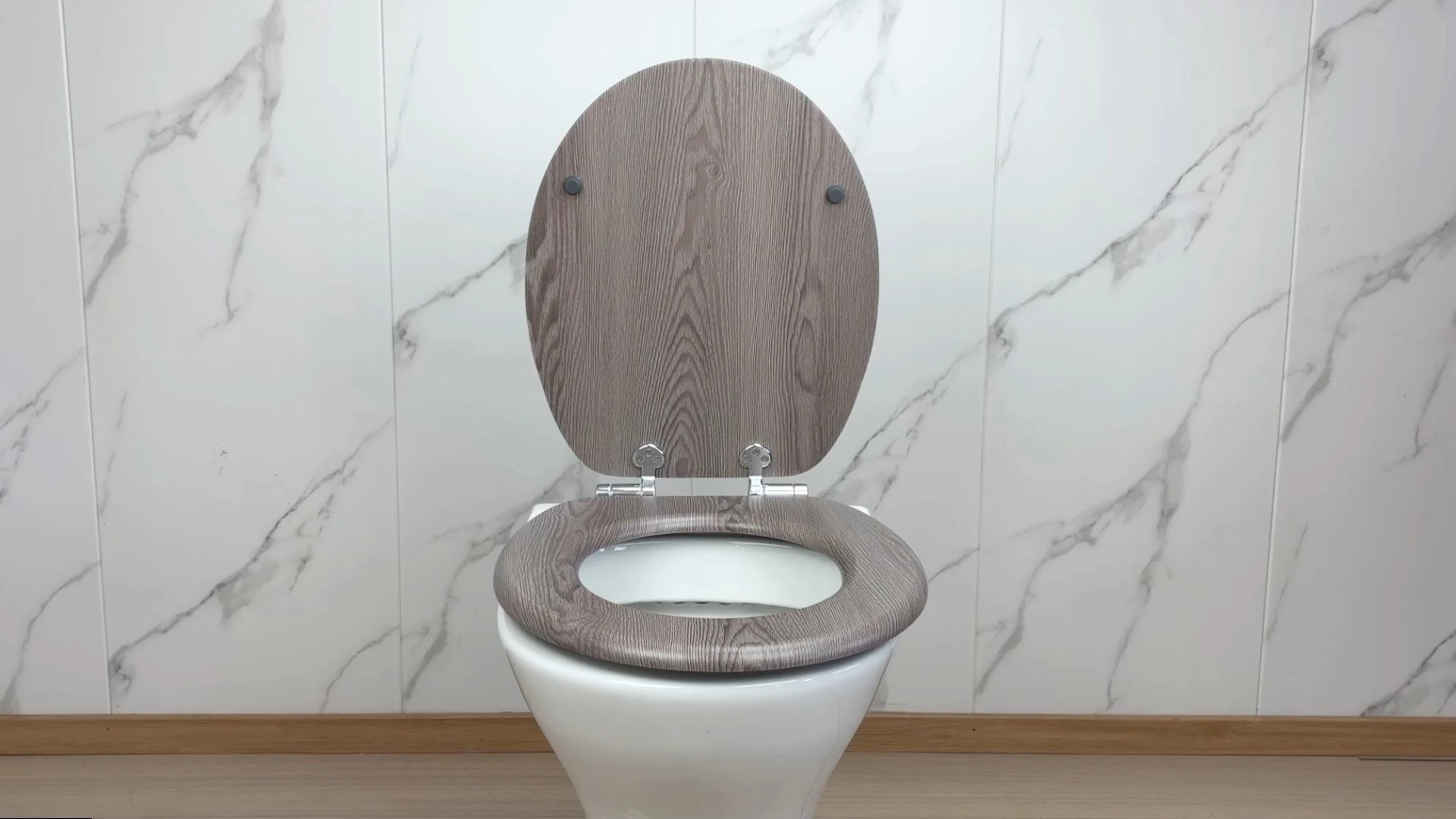 Fanmitrk Light Gray Finish Soft-Close Toilet Seat G174-1 1