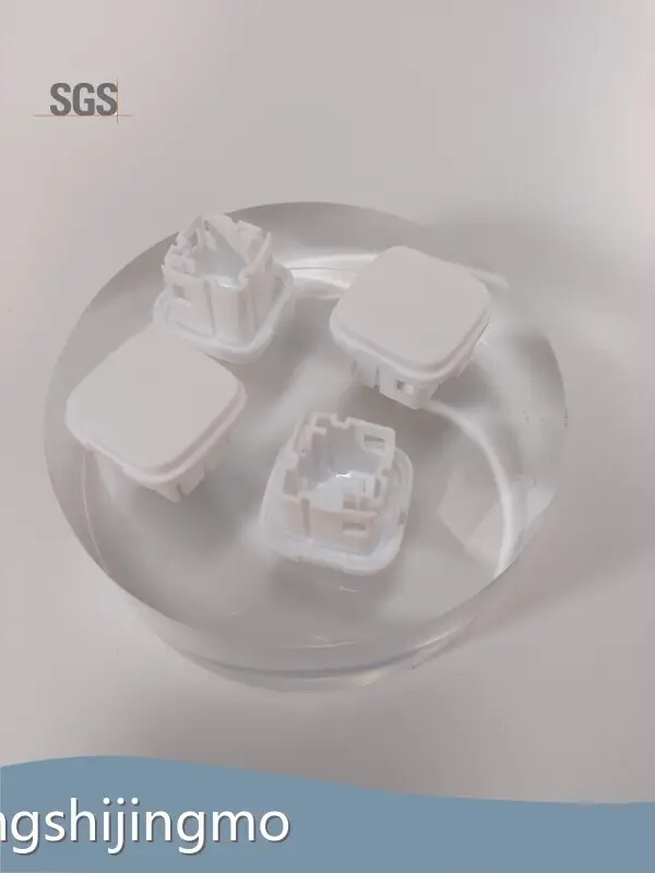 Custom Plastic Mold Manufacturers Factory Direct Supply 1