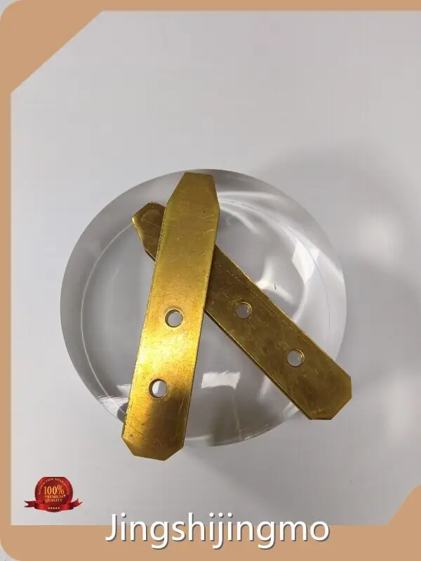 Customized Precision Stamping Mold 1