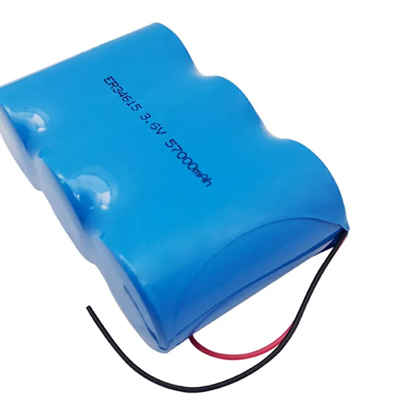 Wholesale Lithium Primary Cells Price List 7