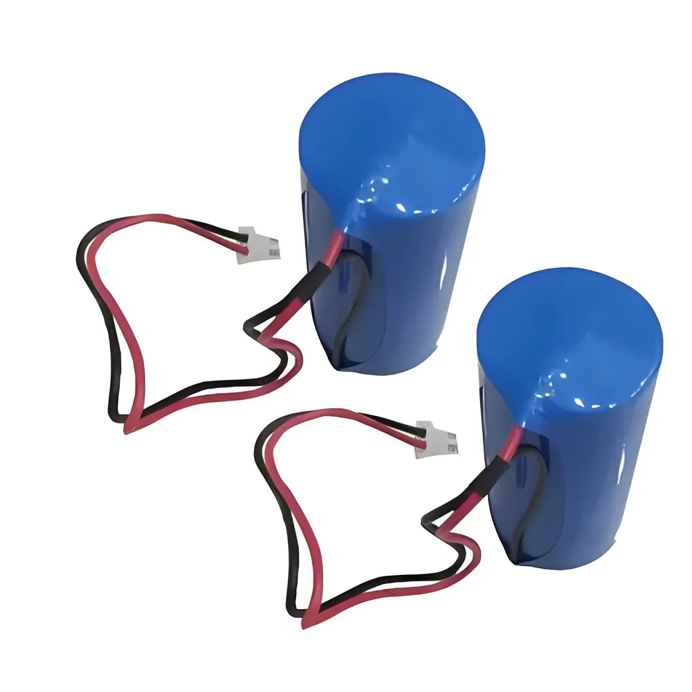 Lithium Primary Battery 3v - - WECODO 2