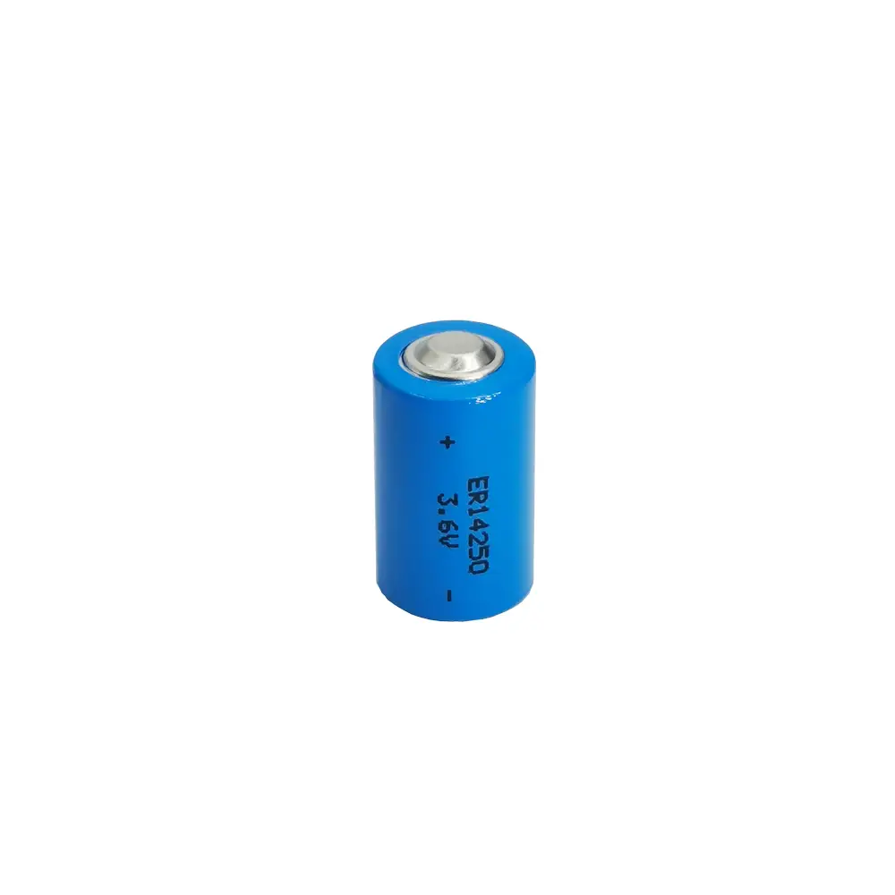 Batteria al litio primaria ER14250 LS14250 1200mAh 3,6V 1/2 AA per contatore dell'acqua intelligente 1